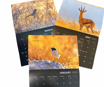 2025 Holy Land Wildlife Calendar